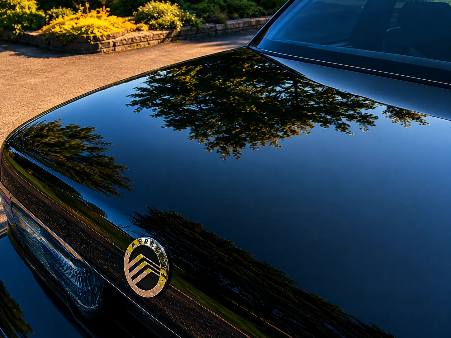 Paint Refinement — black Mercury Marauder with restored gloss